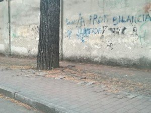 WhatsApp Image 2017-05-08 at 20.05.51 (1)