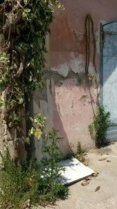 IMG-20170620-WA0016