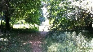 IMG-20170620-WA0022