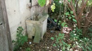 IMG-20170623-WA0012