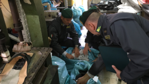 Aversa: Baschi Verdi della GDF sequestrano calzaturificio abusivo