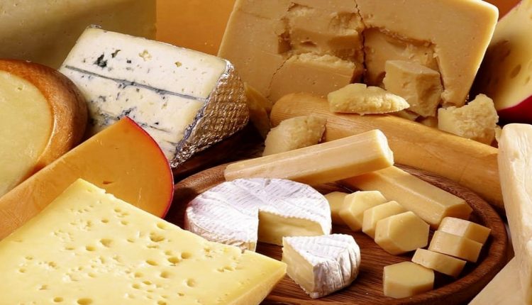 Pecorino romano, alleato della salute - Belvedere News - Alessandro Fedele