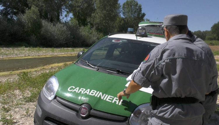 LIQUAMI BUFALINI SVERSATI ILLEGALMENTE | Sequestrata azienda