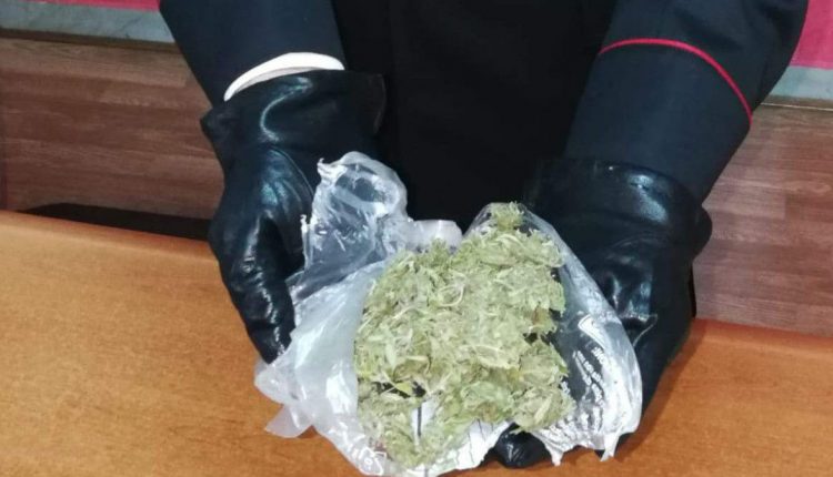 CASERTA, SPACCIO STUPEFACENTI | Arrestato 20enne