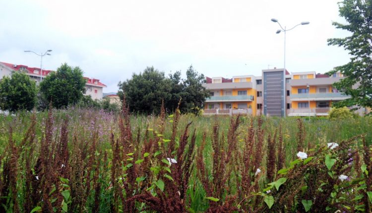 "L'erba a San Prisco è più alta del Sindaco", inviato esposto alla Corte dei Conti