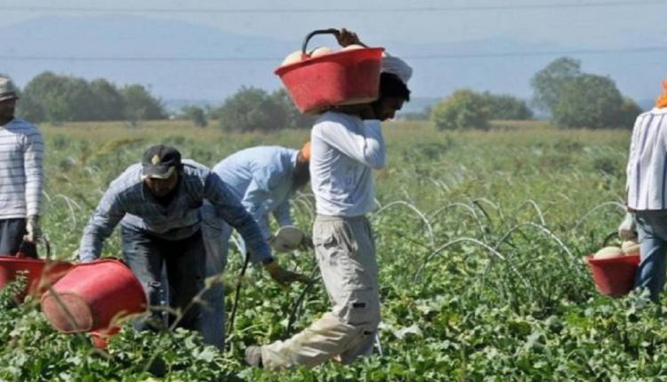 CASERTA. All'Università Vanvitelli dibattito e punto della situazione sullo sfruttamento della manodopera straniera