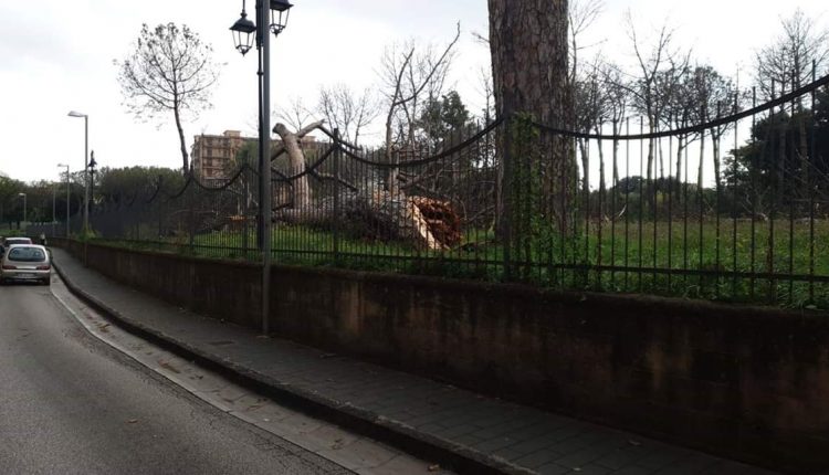 Il Parco Pozzi dopo la tempesta