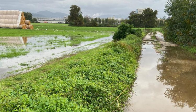 Il maltempo intercorso tra il 3 ed il 25 novembre ha particolarmente colpito le imprese agricole della Campania, con un carico di acqua record, che ha prodotto notevoli danni su oltre 2000 ettari nei comprensori di competenza del Consorzio generale di bonifica del bacino inferiore del Volturno